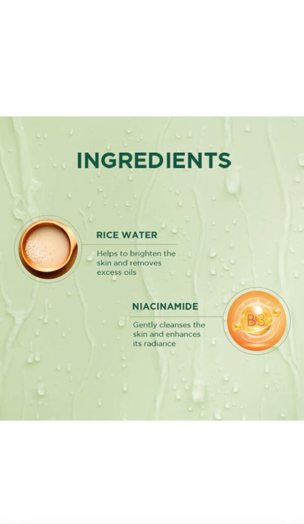 BIOTIQUE Rice Water & Niacinamide Gel Face Wash  (100 ml) - Image 3